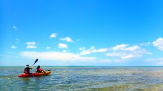 西表島　クーラ川　カヤック　ツアー　トレッキング　観光　絶景　ジャングル　マングローブ　キャニオニング　泳ぐ　飛ぶ　浮く　歩く